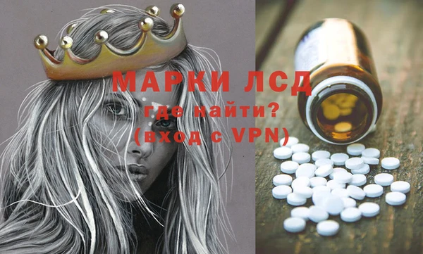 PSILOCYBIN Аркадак
