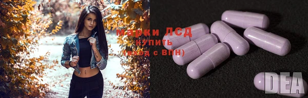 PSILOCYBIN Аркадак